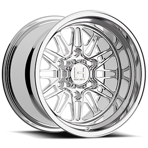 HF26 gecko polished